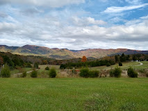Blue Ridge Vineyard in Eagle Rock Virginia